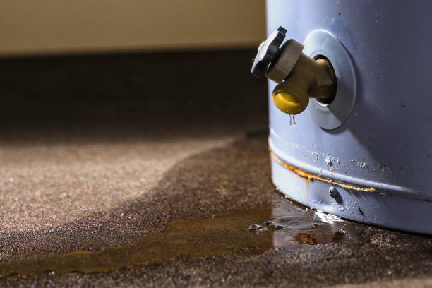 Best 24/7 water damage repair  in Chinle, AZ
