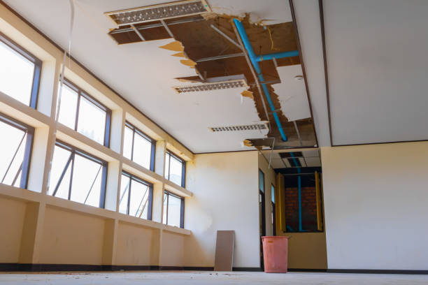 Best Water damage restoration company  in Chinle, AZ