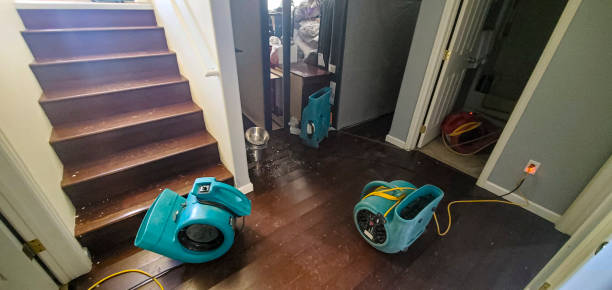 Best Emergency water damage restoration  in Chinle, AZ