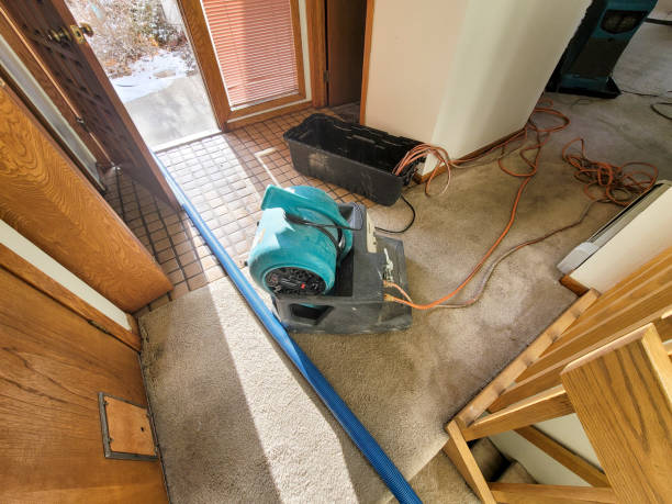 Best Emergency water damage restoration  in Chinle, AZ