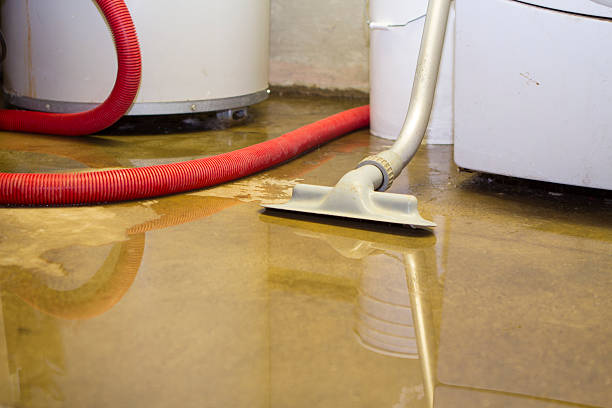 Best 24/7 water damage repair  in Chinle, AZ