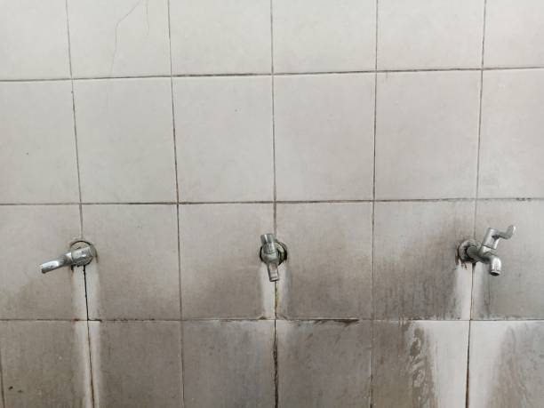 Best Commercial water damage restoration  in Chinle, AZ
