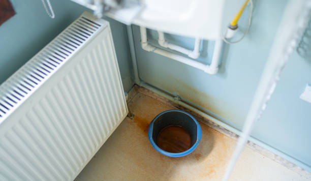 Best Mold removal after water damage  in Chinle, AZ
