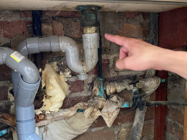 Best Water damage restoration process  in Chinle, AZ