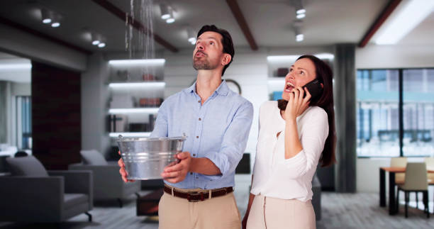 Best Flood damage cleanup  in Chinle, AZ